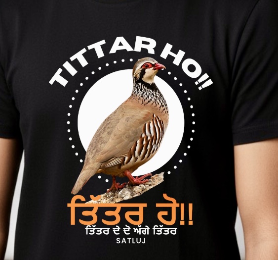Tittar Ho!! ਤਿੱਤਰ ਹੋ - Image 2